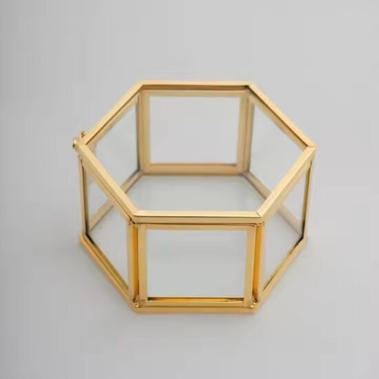 Elegant Glass Jewelry Organizer with Velvet Interior and Metal Frame