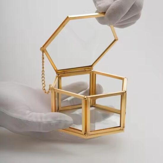 Elegant Glass Jewelry Organizer with Velvet Interior and Metal Frame