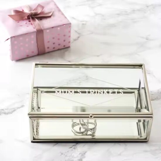 Modern Transparent Metal Jewelry Box for Rings, Earrings, Necklaces